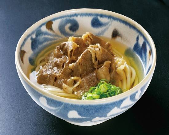 うどん 饂飩の四國 札幌シャンテ店 Udon-no-Shikoku Sapporo Sixyantetenの