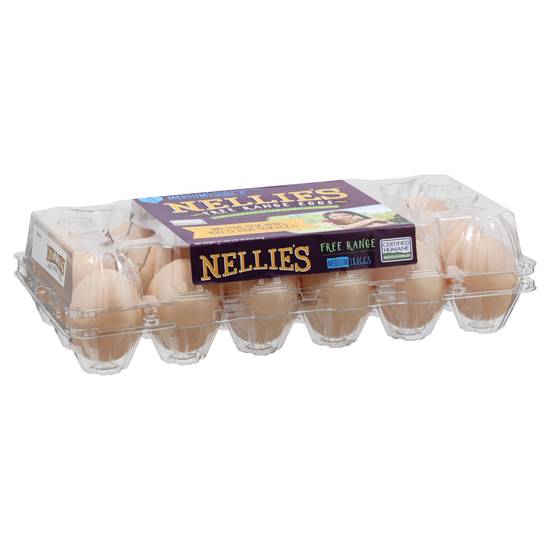 Nellie's Grade a Medium Free Range Brown Eggs (18 ct)