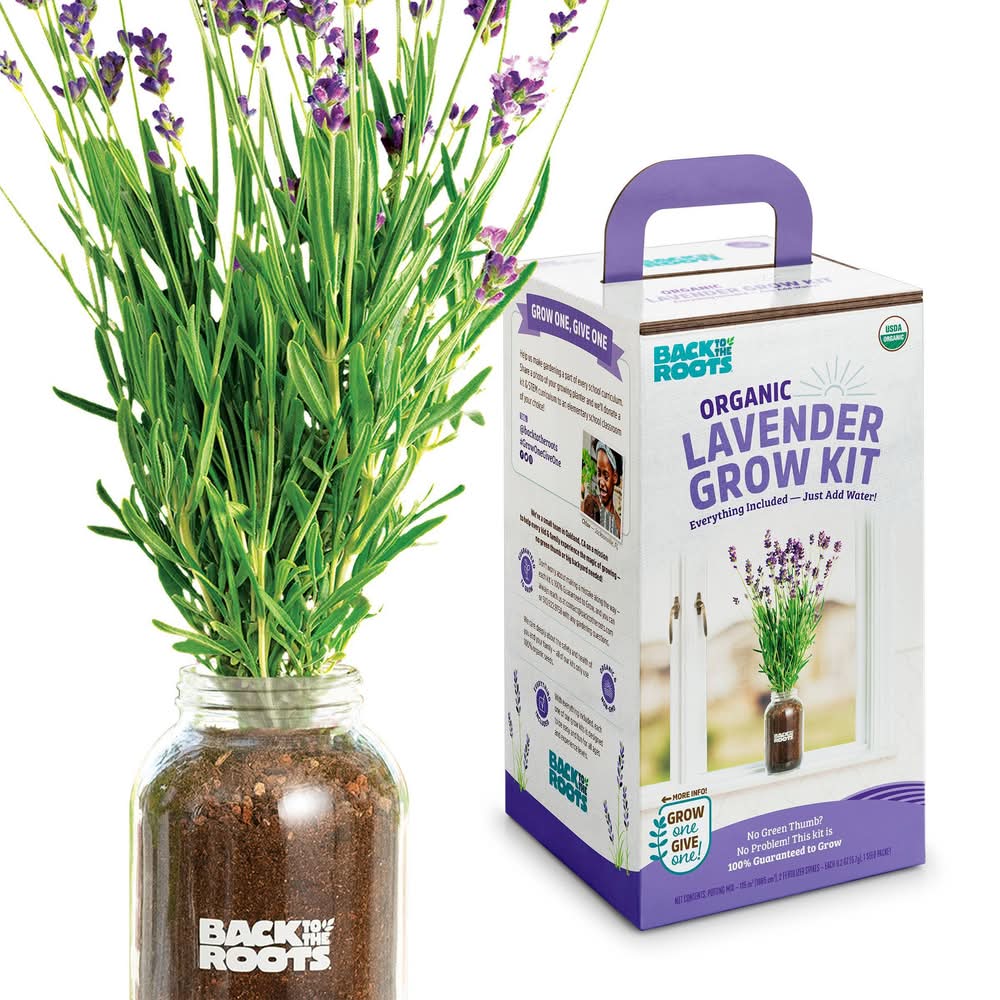Back to the Roots Lavender Organic Windowsill Planter Kit