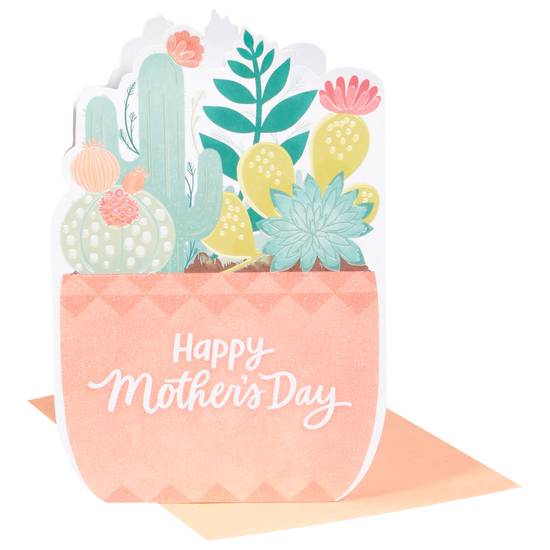American Greetings Potted Succulent Mother’s Day Card