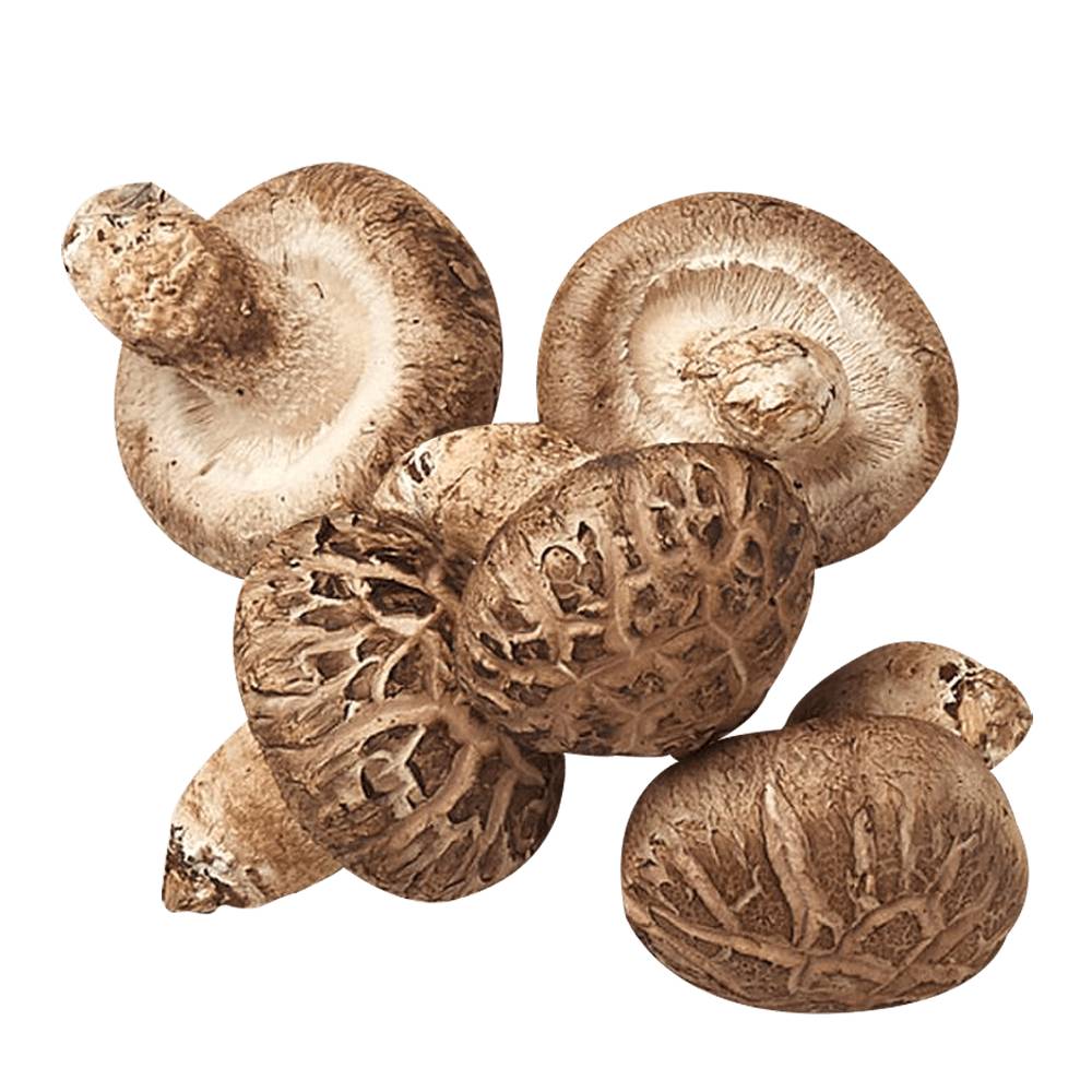 Dried Shiitake Mushroom