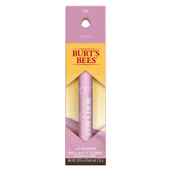 Burts Bees Natural Moisturizing Lip
