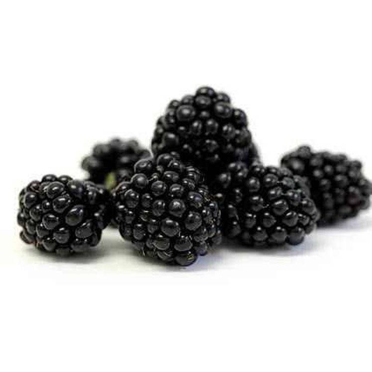 Blackberries Fresh