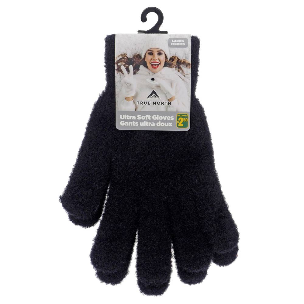 True north gants douillets en nylon