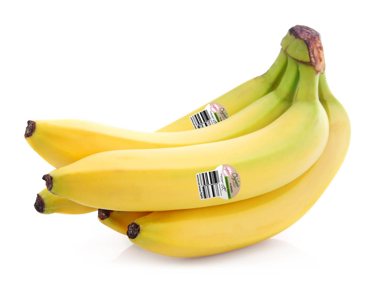 Perfection Organic Cavendish Bananas