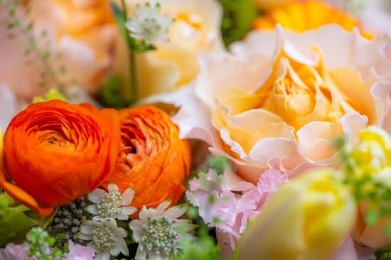 Mardi Flower Studio (7181 Yonge St, 14)