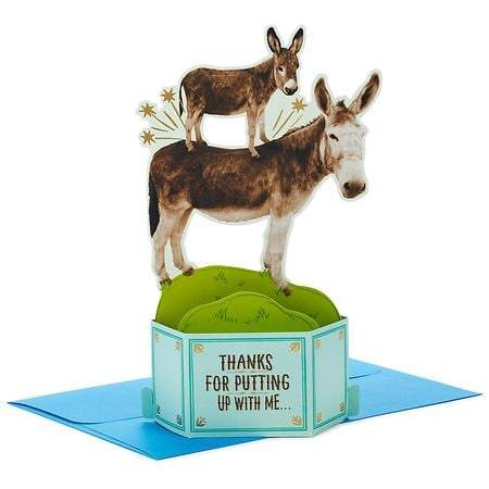 Hallmark Paper Wonder Funny 3D Pop-Up Father's Day Card (Little Pain In the Ass) - S30 - 1.0 ea