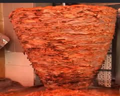 Taqueria los Güeros de Villa de Cortes