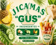 Jícamas Gus Insurgentes (León)
