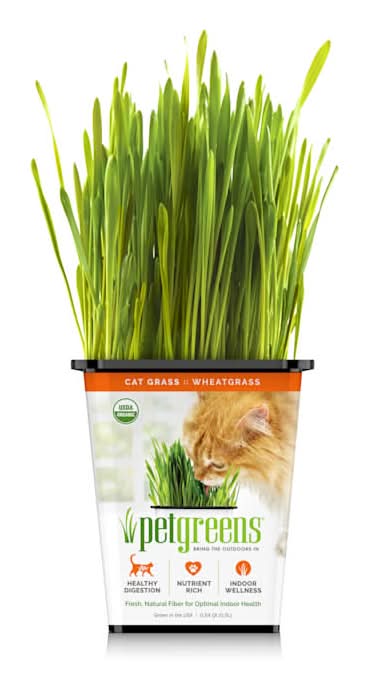 Pet Greens Organic Wheatgrass Cat Food (8 oz)