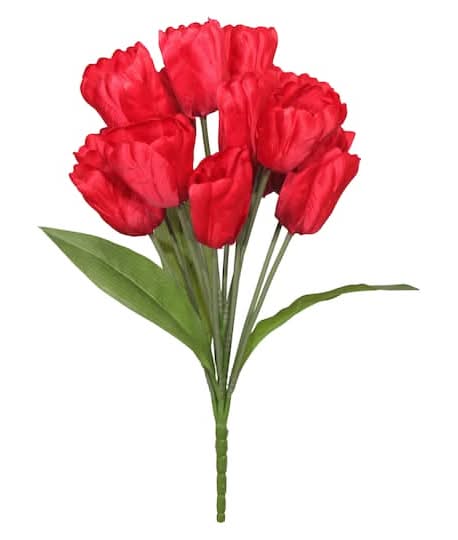 19" Tulip Bush By Ashland