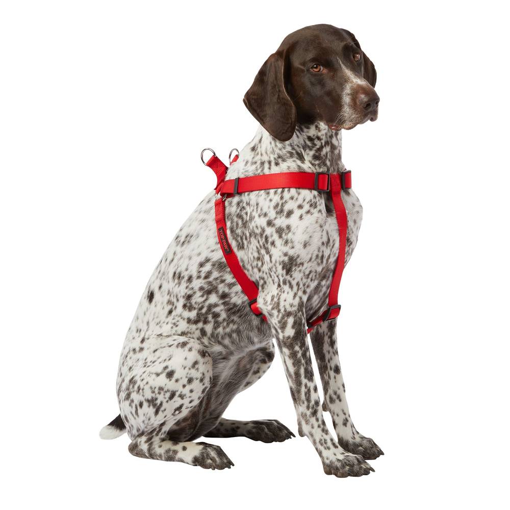 Top Paw® Basic Step-In Dog Harness (Color: Red, Size: Large)