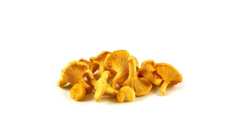 CHAMPIGNON GIROLLE La barquette de 200g