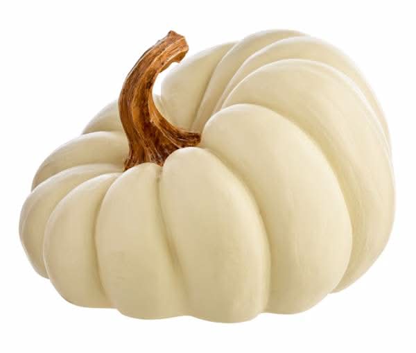 White Irregular Pumpkin, 9.1"