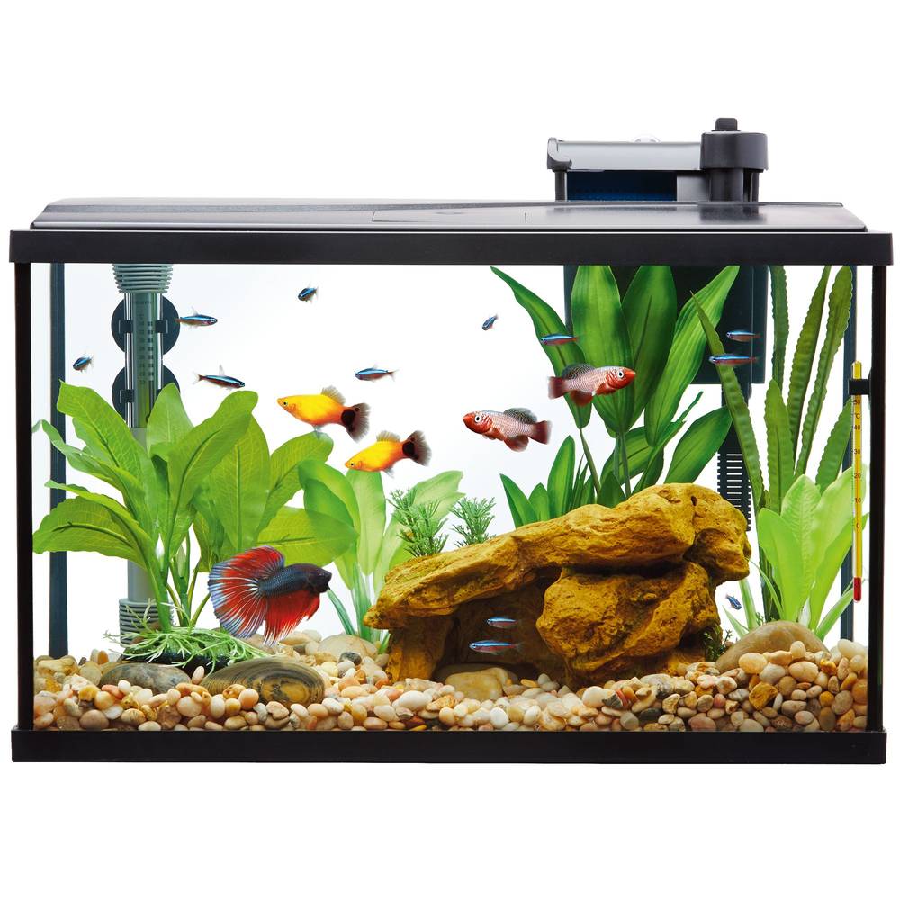 Top Fin Essentials Starter Kit Desk 10 Gal Aquarium