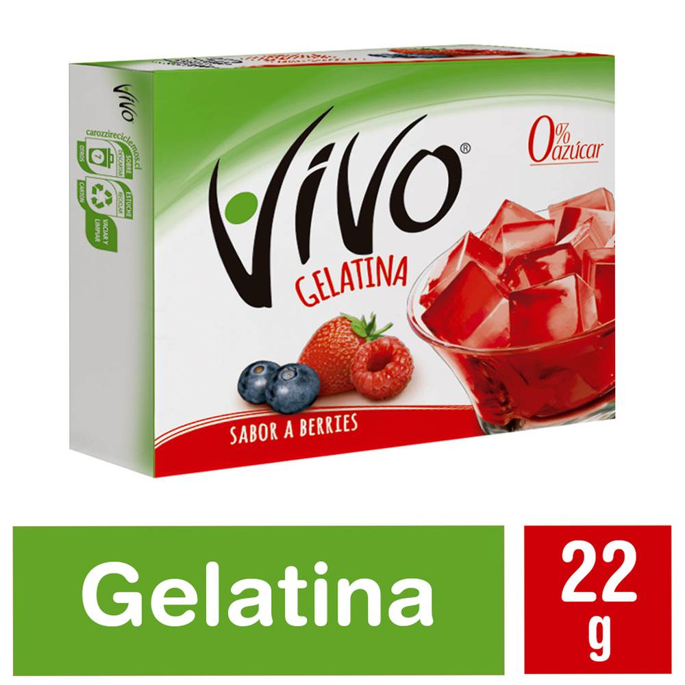 Vivo gelatina en polvo sin azúcar sabor berries (caja 22 g)