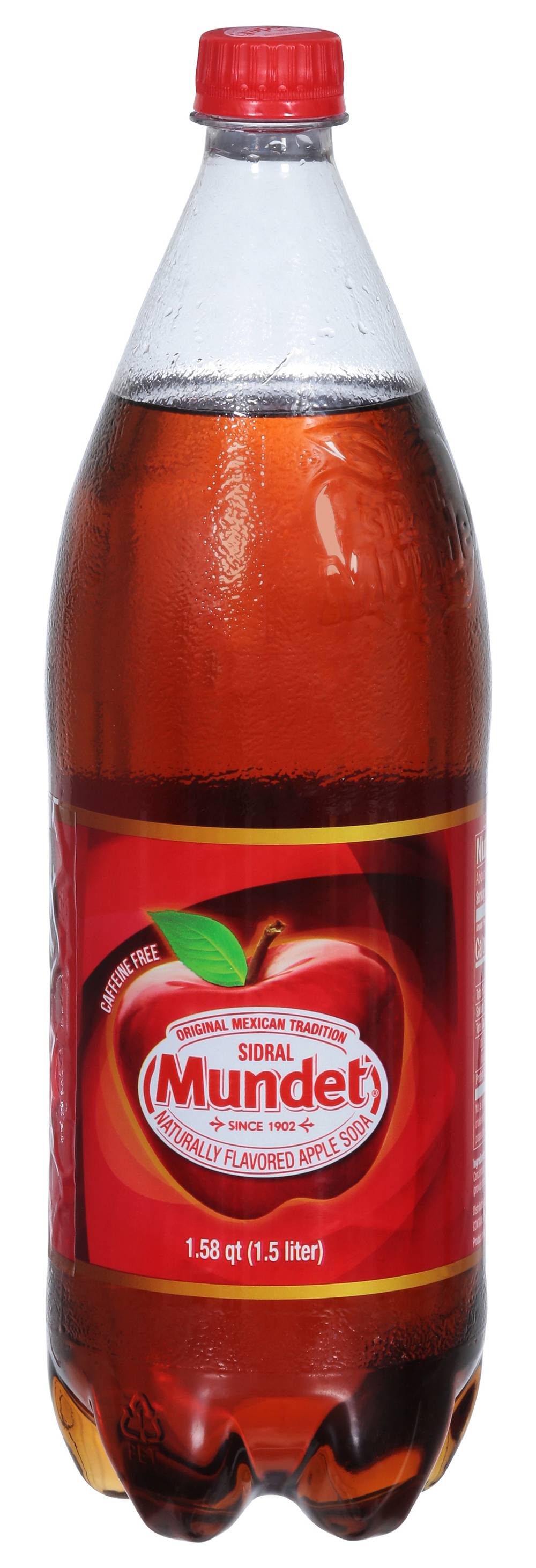 Sidral Mundet Apple Soda (50.7 fl oz)
