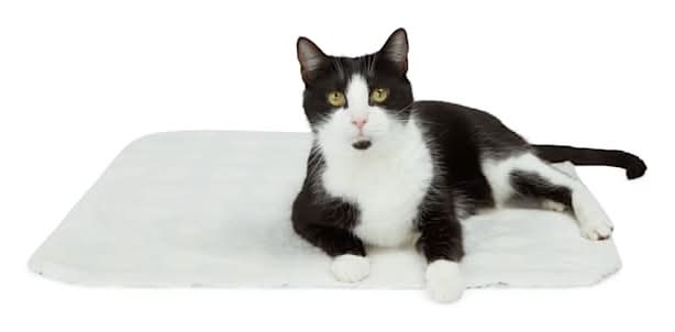 EveryYay Diamond Print Cat Throw, 24x24 in, Gray