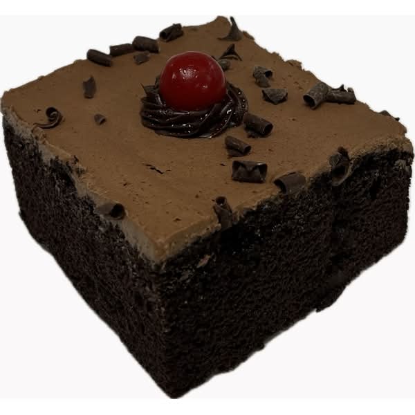 Chocolate Cake Square With Fudge Icing