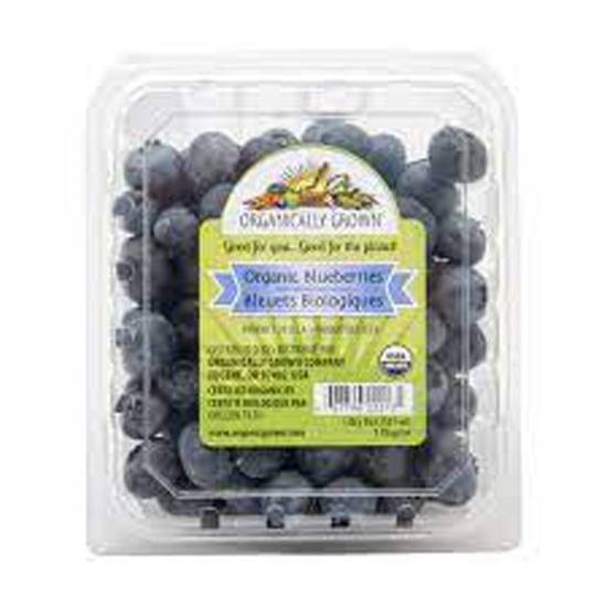 Organically Grown · Blueberries (1 pint)