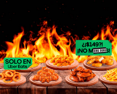 Alitas Maestras Centro