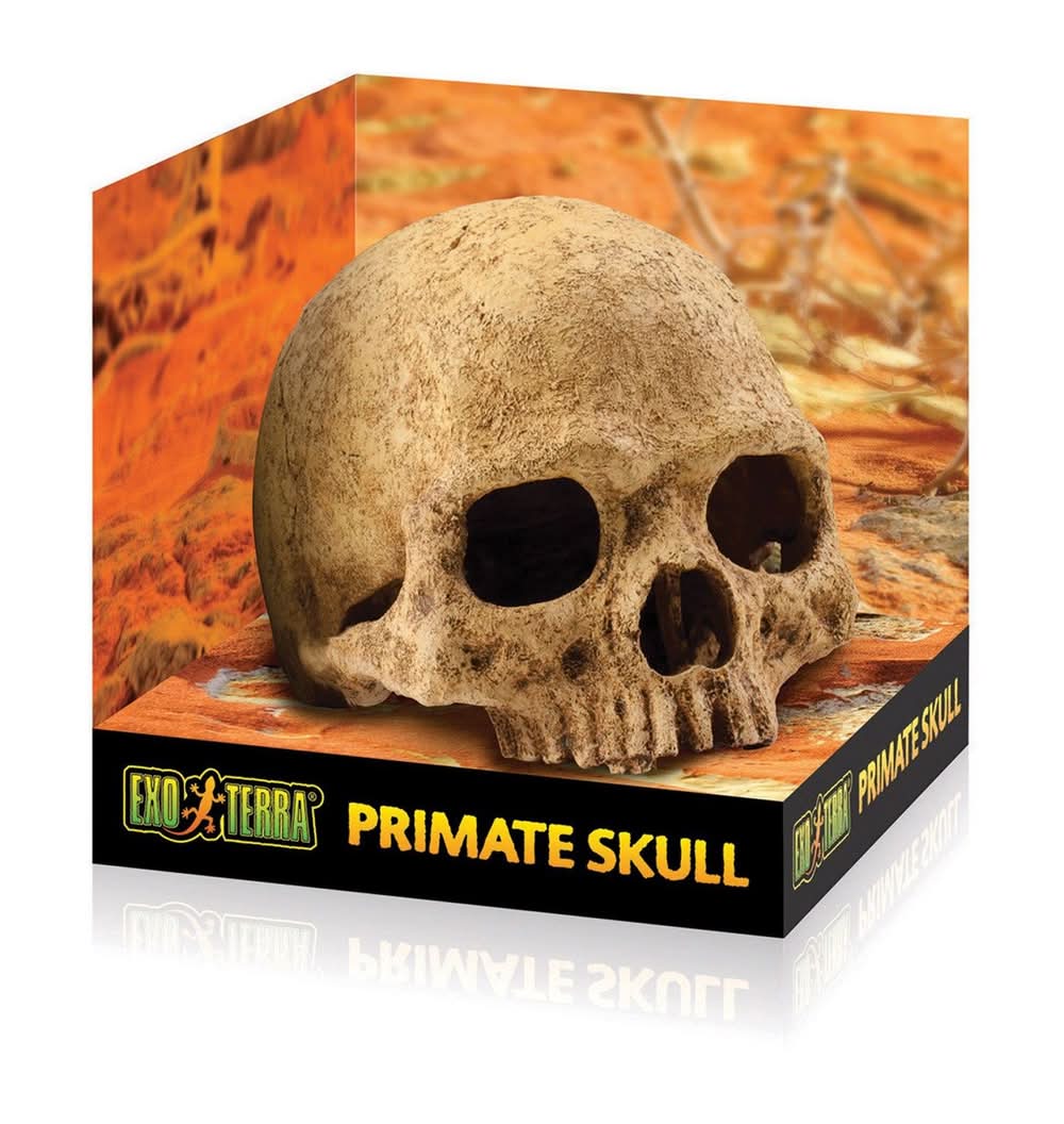 Exo Terra Primate Skull, 1 ea
