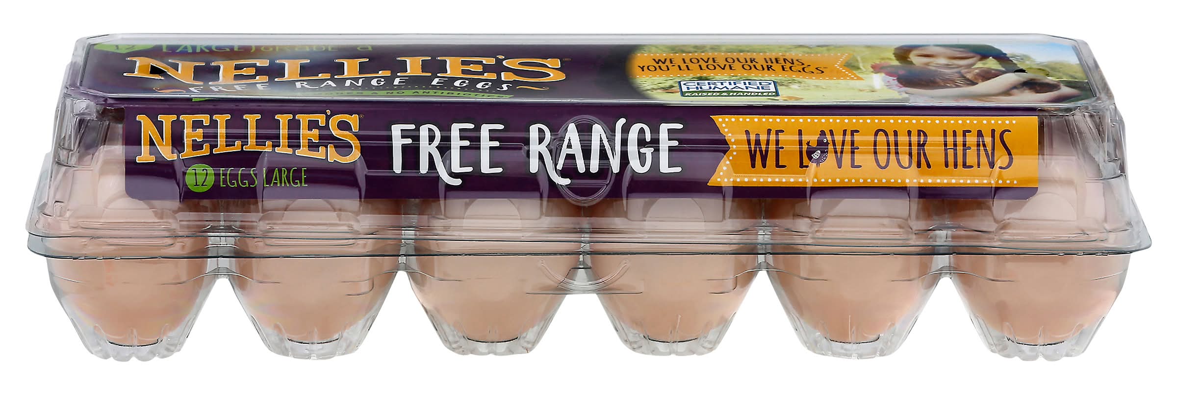 Nellie's Grade a Free Range Fresh Brown Eggs, L (24 oz, 12 ct)