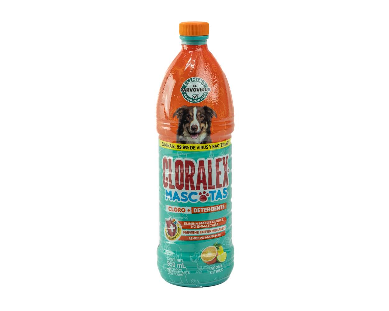 Cloralex limpiador heces y orina mascotas (botella 950 ml)