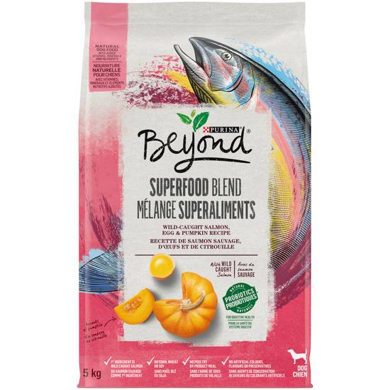 Beneful Steak Flavour Dog Food For Small Dogs (1.60 kg)