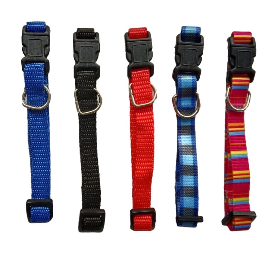 Family Pet Adjustable Fashion Dog Collars, M (5 ct)