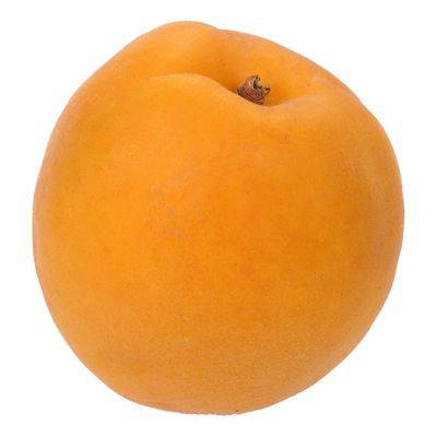Abricot - Apricots
