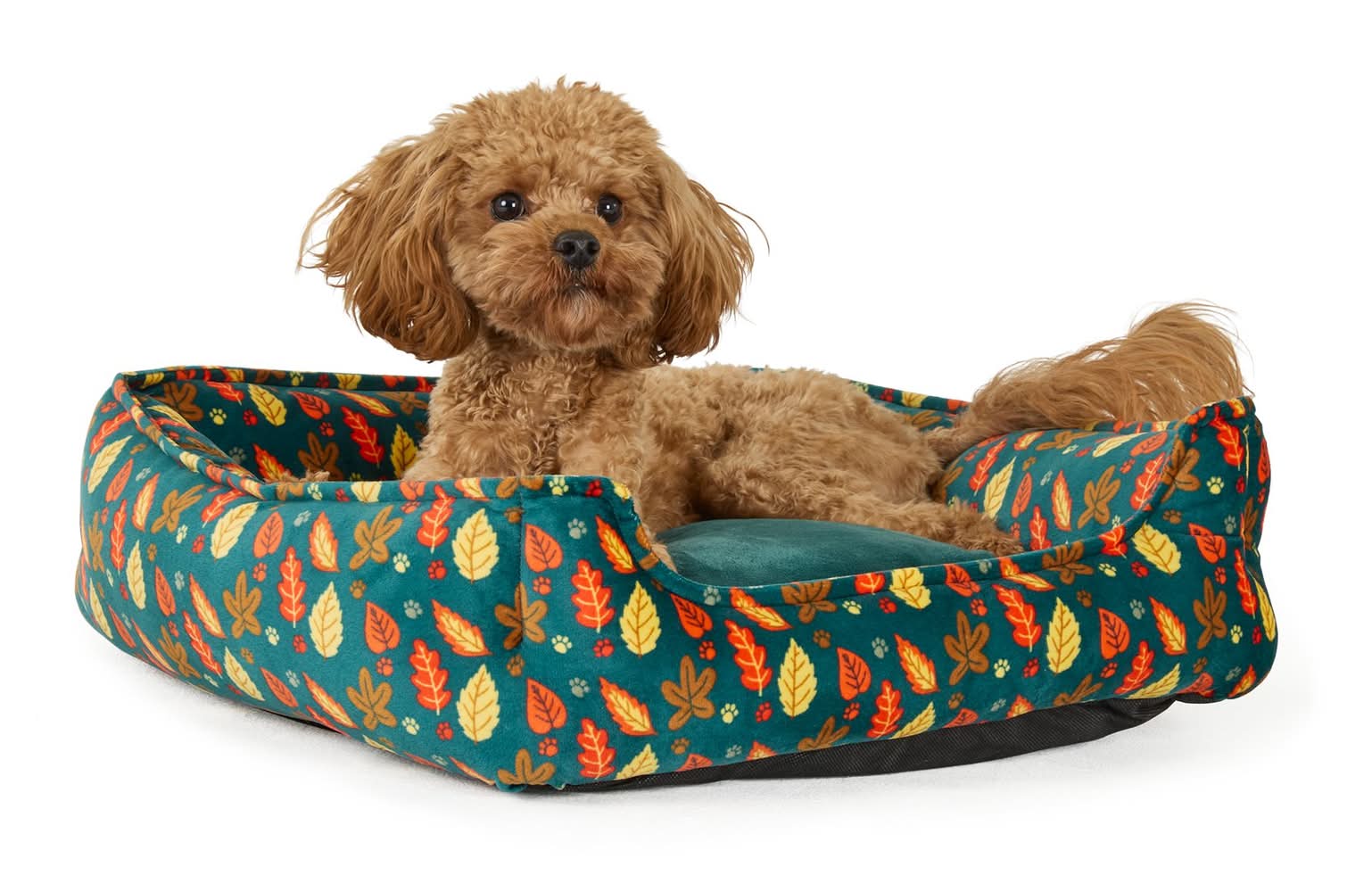 Thrills & Chills® Halloween Leaves Cuddler Dog Bed, ONESIZE 18 IN L X 20 IN W (Color: Multi Color)