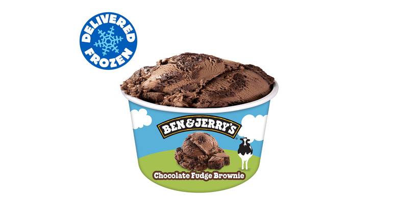 Chocolate Fudge Brownie