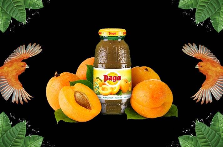 Pago abricot