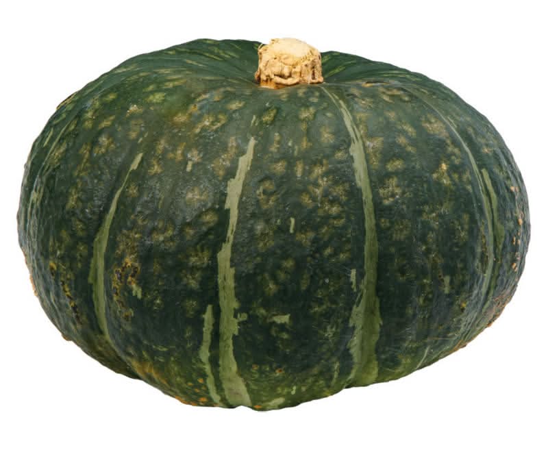 Kabocha Squash