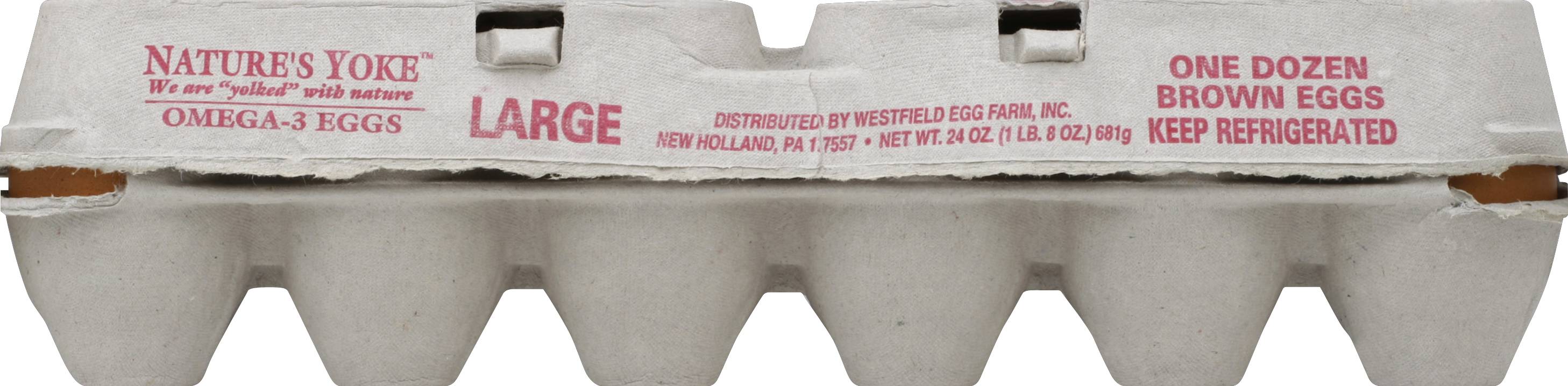 Nature's Yoke Large Brown Eggs (24 oz, 12 ct)