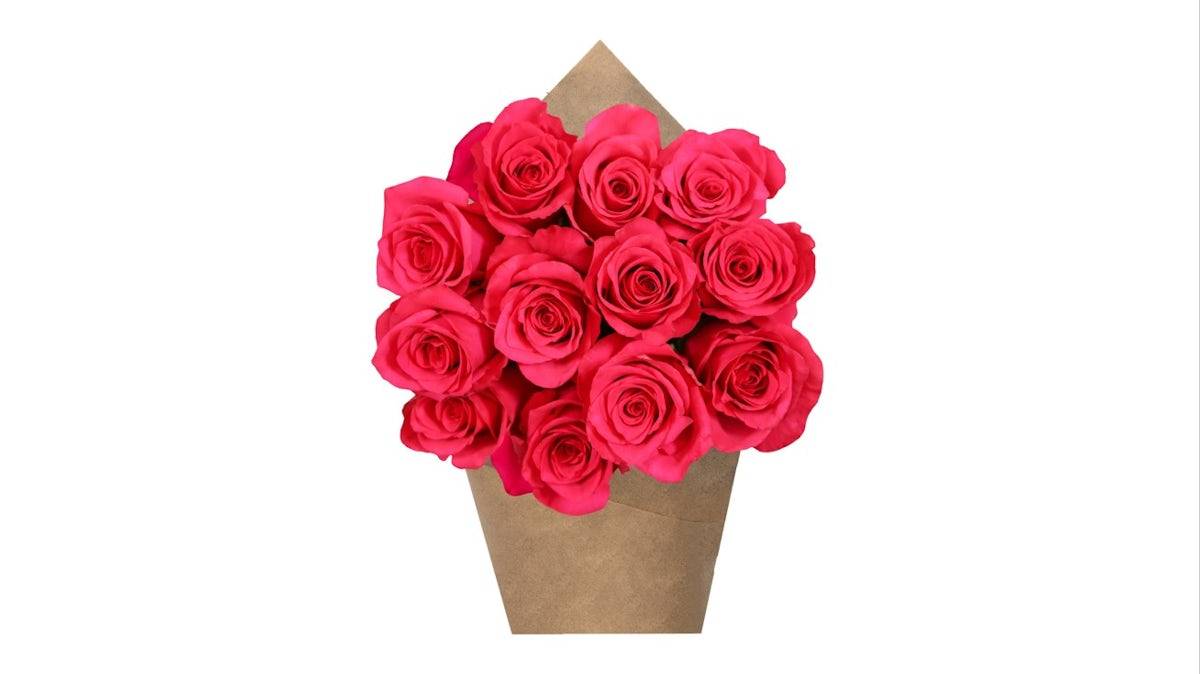 Dozen Rose Bunch -  Hot Pink