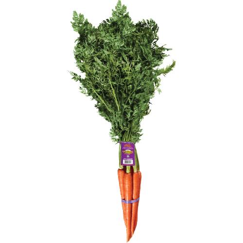 Organic Carrots Bunch