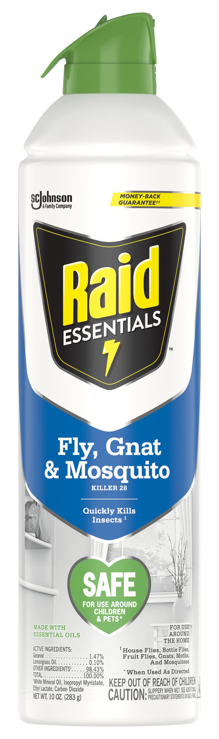 Raid Essentials Fly Gnat & Mosquito Killer (10 oz) | Delivery Near You