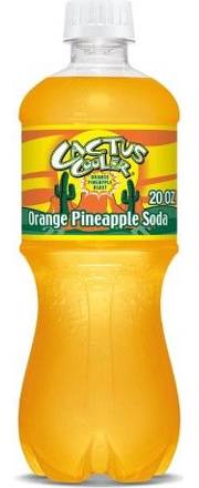 Cactus Cooler 20 Fl Oz Bottle