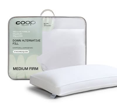 COOP Home Goods Medium the Adjustable Cloud Pillow, Queen (2 ct)