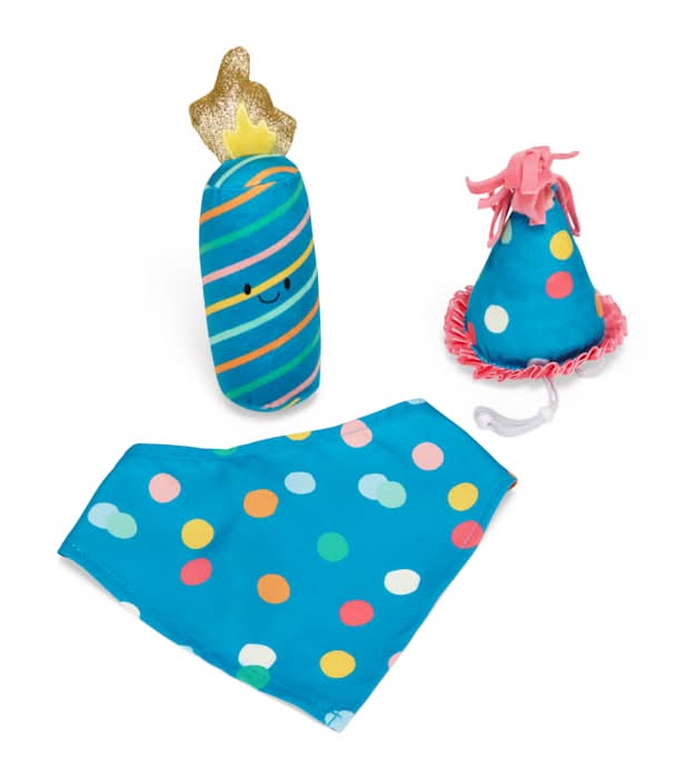 Youly Birthday Party Set For Dogs, S-M, Blue