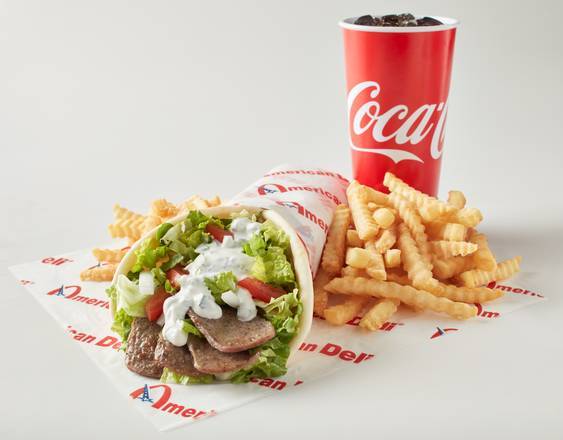 Gyro and Fries Combo