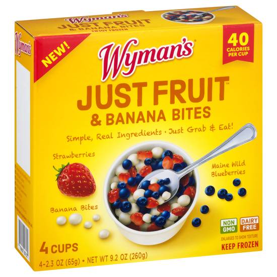 Wyman's Strawberry & Blueberry Just Fruit & Banana Bites (4 ct)