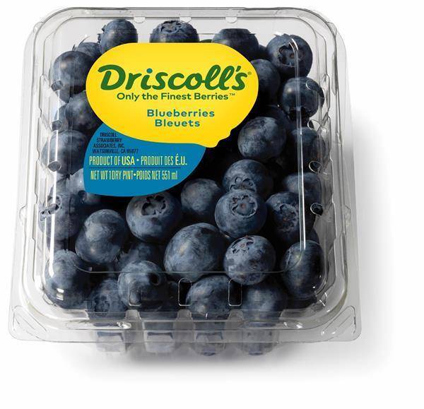 Berry Valley Blueberries