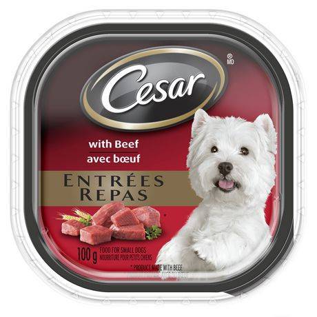 Cesar Beef Dog Food - 100g