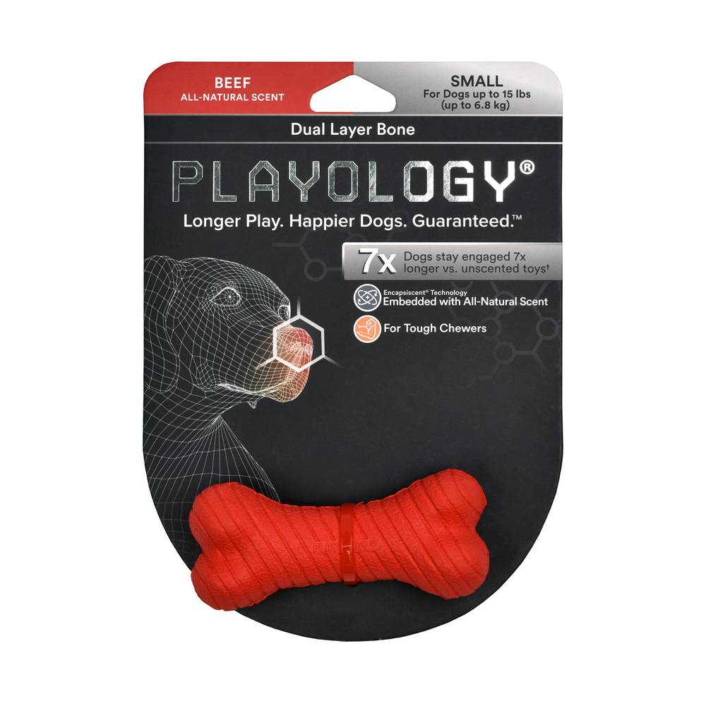 Playology Dual Layer Bone Beef Dog Toy, Small