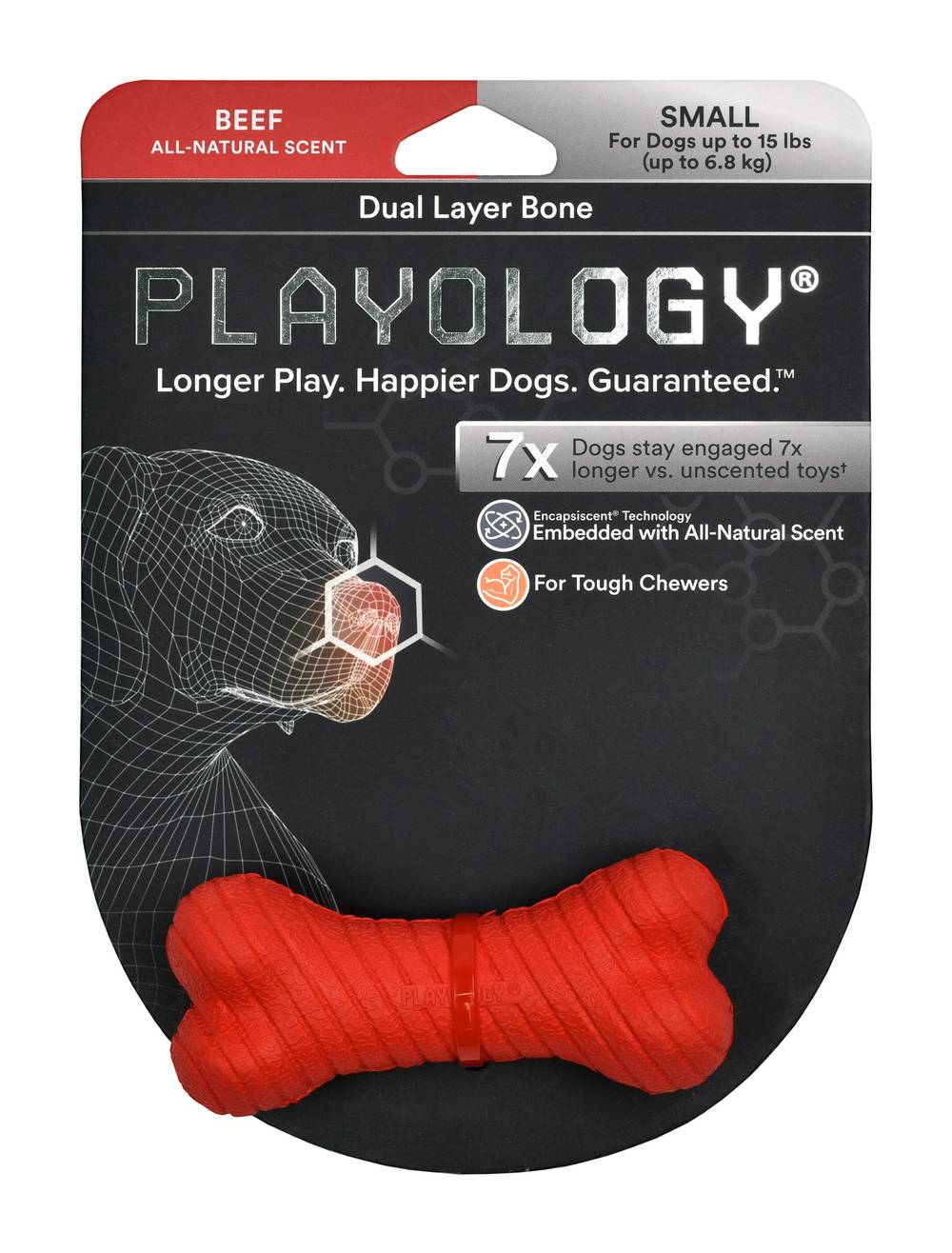 Playology Dual Layer Bone Beef Dog Toy, Small
