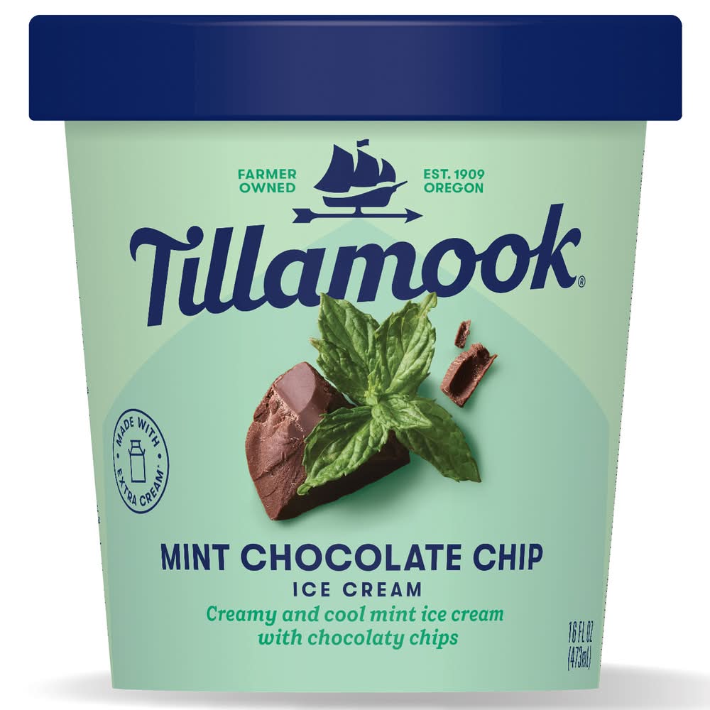 Tillamook Ice Cream, Mint Chocolate Chip (16 fl oz)