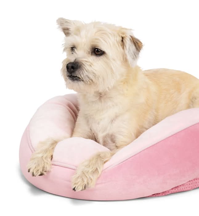 EveryYay Essentials Round Bolster Dog Bed, S, Pink